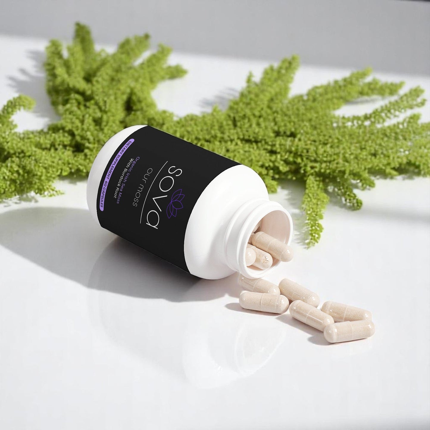 Our Moss - Sova Wellness