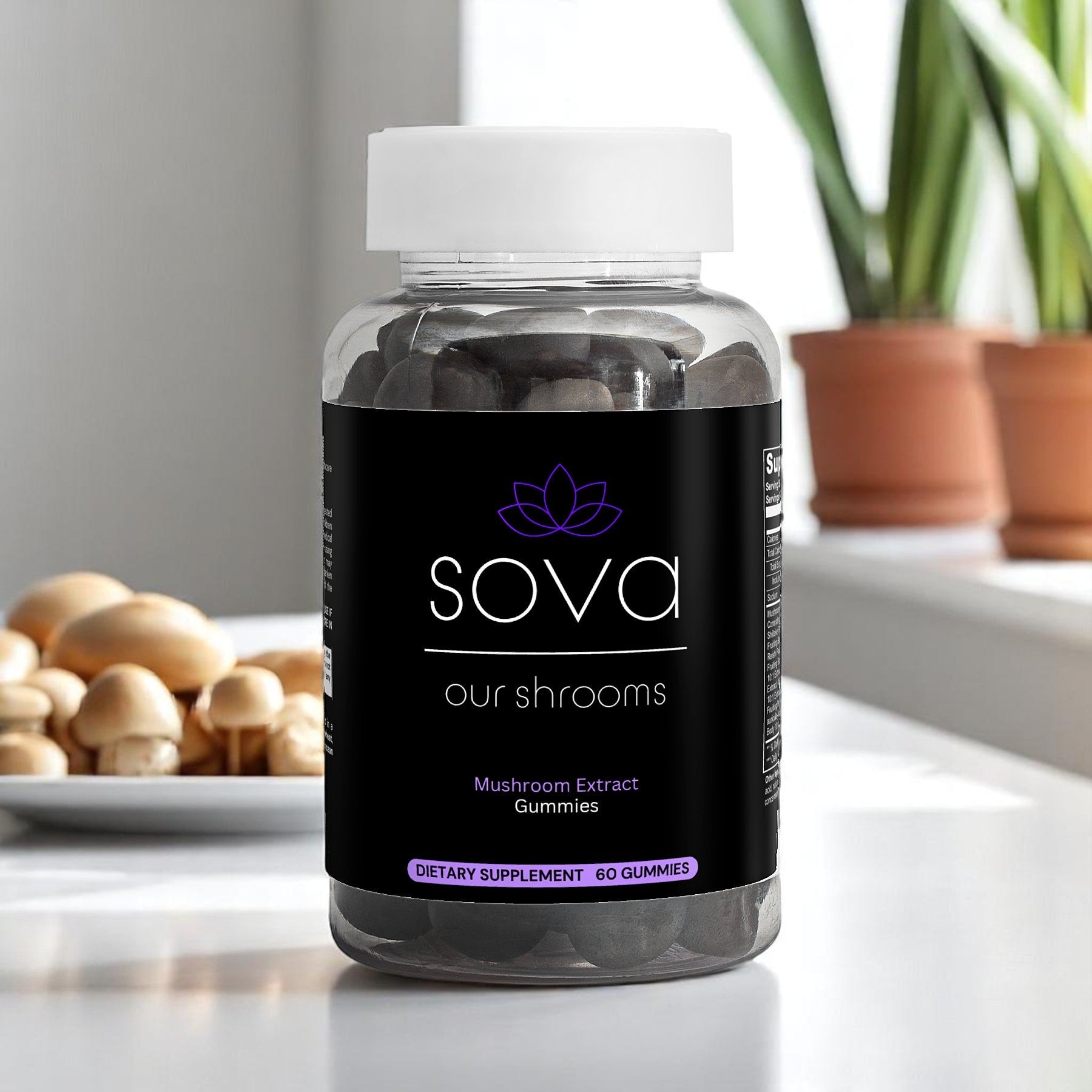Our Shrooms - Sova Wellness